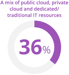 36% - A mix of public cloud, private cloud and dedicated/traditional IT resources