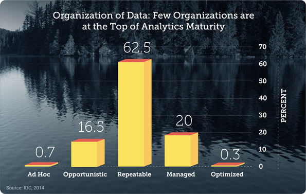 maturity distribution